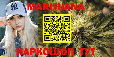 крисы Волгодонск