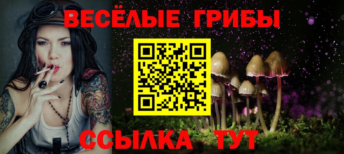 Псилоцибиновые грибы Psilocybe Мурино