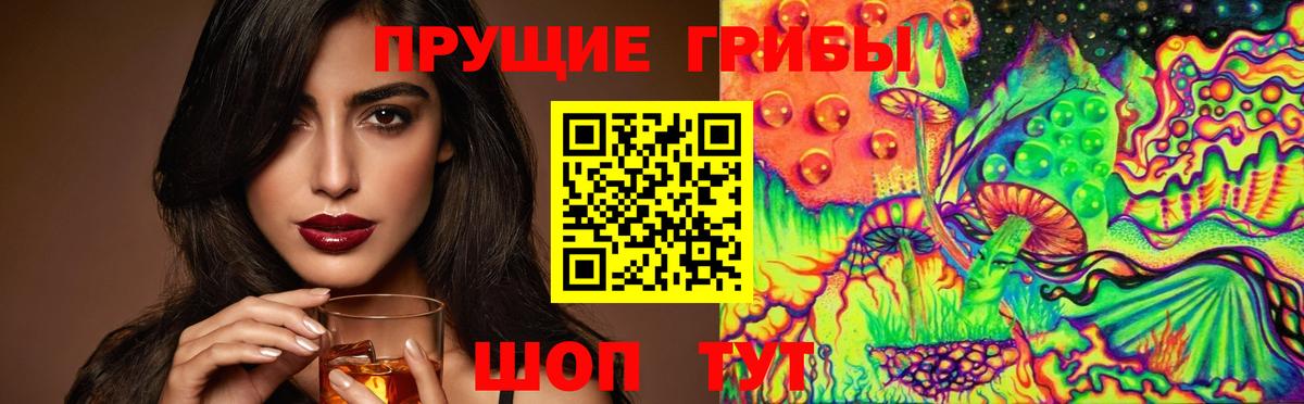 Мурино  Галлюциногенные грибы ЛСД  Псилоцибиновые грибы Psilocybe  Вход с VPN 